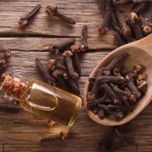 Clove spice and oil