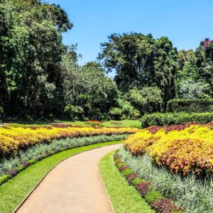 spice garden