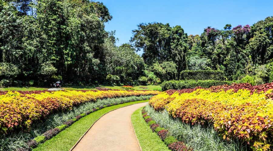 spice garden
