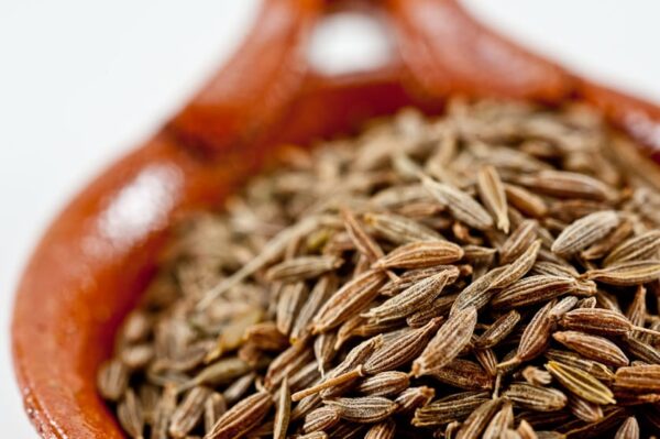 cumin seed