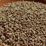 ajwain seed